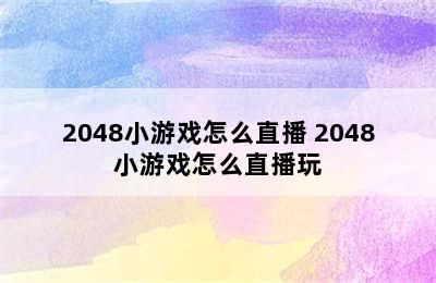 2048小游戏怎么直播 2048小游戏怎么直播玩